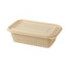 Biodegradable Corn Starch Square Takeaway Containers