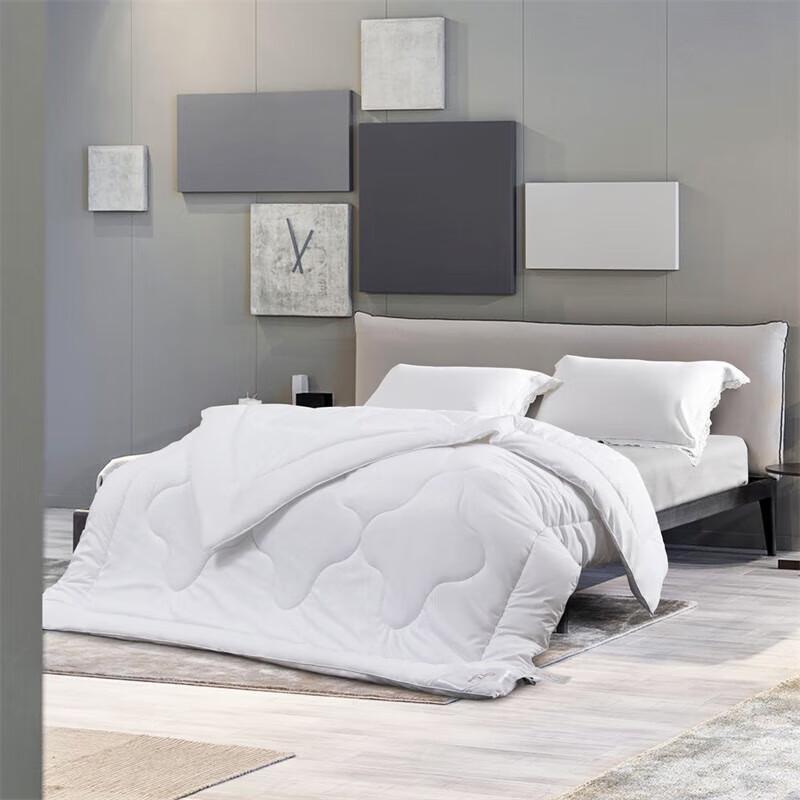 

Mercury Home Antibacterial All-Season Quilt