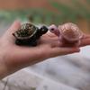 For Turtle Candle Silicone Mold for Handmade Desktop Decoration Gypsum Epoxy Resin Aromatherapy Candle Silicone Mould
