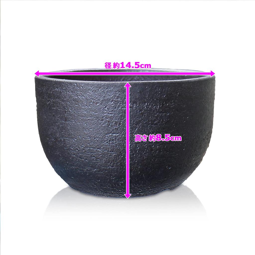 Umekichi Bonsai Black Matte Bottomed Bonsai Pot 5 Shigaraki for Tuberous Small Ceramic Piece Supplies, (Size (approx. 14.5cm)), Ware, Wildflowers,