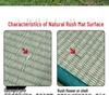 Free Shipping: Cool Straw Mat Pillow Set - Natural Cattail Grass, Orchid Design, Pair (2 Strips), Summer Cooling Pillowcase for Adults