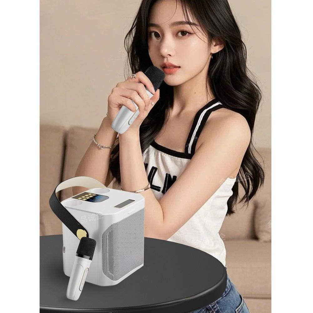 High Power Bluetooth Speaker Bluetooth 5.3 Boombox 360 Stereo Surround Karaoke  Party Entertainment