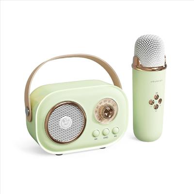 Children's Wireless Bluetooth Karaoke & Education Microphone Speaker