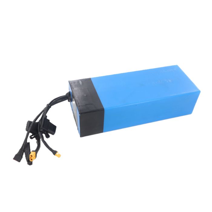 BATTERIE 48V 12.5AH DOUBLE MOTEUR