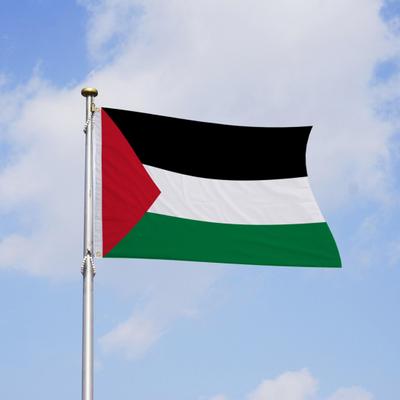 Palästina-Flagge, lichtbeständig, feine Verarbeitung, einfache Installation, Leinwandkopf, palästinensische Nationalflaggen