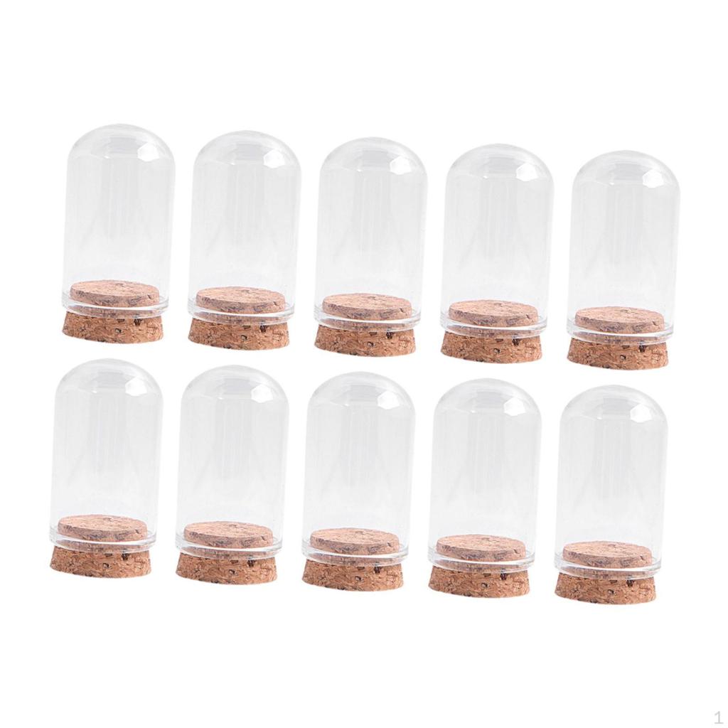 10er-Pack Glas-Display-Glocken für die Präsentation von Sammlerstücken