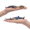 TOYMANY Marine Life Figure Miniature Marine Animal Realistic Animal Ocean Popular Birthday New Ages 6 and Up 24-Piece Set, Models, Models, Toys,