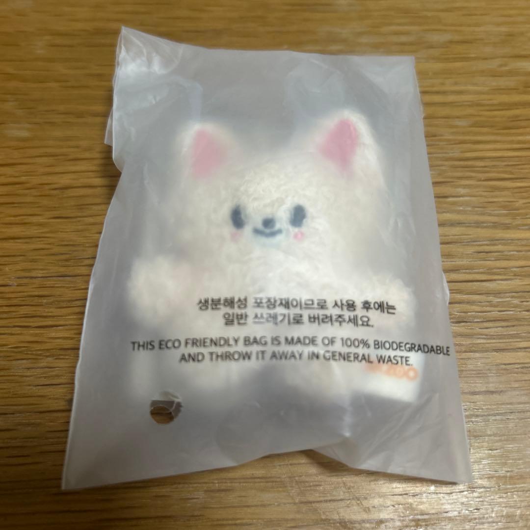 

[USED] Stray Kids Skzoo Foxiny Micro Keyring Ien