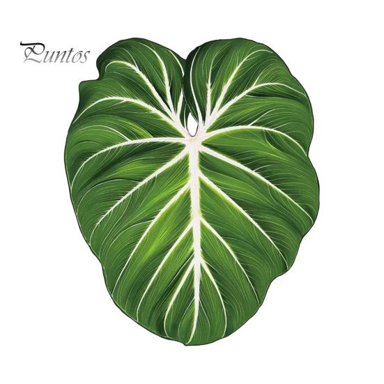 Tropical Plant Refrigerator Magnets 3D Plants Magnet, Acrylic Green Decorative Fridge Home Decor Memo Notes Photo Holder for Kitchen Office