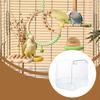 Bird Bath for Cage Bathing Tub Accessory Cleaning Pet Supplies Bathtub Box Parrot Parakeets
