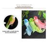 Colorful Simulation Birds Photography Props with Clip Decorative Fake Bird Home Decor Landscape Decoration Birds Model