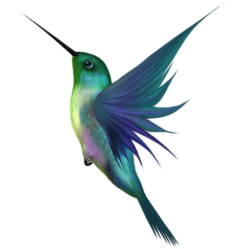 LYKX Beautiful Hummingbird Hand Painted Bird Sticker for Home Decoration Toilet Sticker