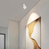 Adjustable LED Anti-Glare Folding Spotlights: Dimmable, Color-Changing, Ideal for Hallway and Wall Wash Background Lighting.
