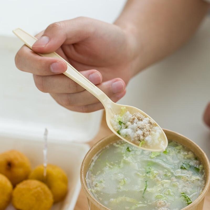 Disposable Frosted Plastic Cutlery