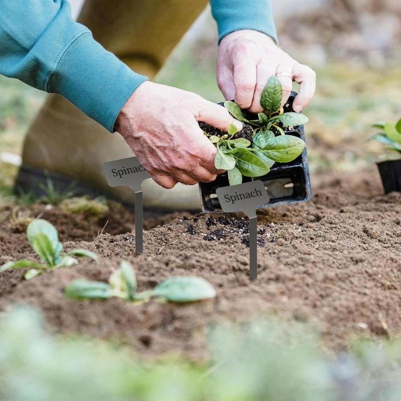 Étiquettes de Plantes en Acier Inoxydable Résistantes aux Intempéries Avec Stylo Marqueur Inclus Pour Marqueurs de Jardinage Résistants aux Intempéries Pack de 10