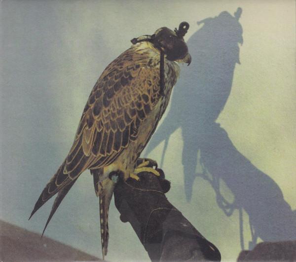 

CD ICEAGE - You re Nothing OLE10092 Matador 2013 Europe Rock Used