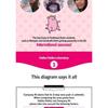 HOLIKA HOLIKA - Pig Clear Black Head 3-Step Kit Bundle Set