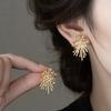 Zircon Metal Fireworks Earrings Cold Wind Earrings Temperament Versatile Premium Festival Earrings