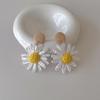 Colorful Raffia Flower Dangle Earrings - Summer Beach Vacation Style, European & American Fashion.