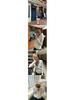 Belgian Chimes Blue V-Neck Cable Knit Sweater – Women's Autumn Long Sleeve Knitwear
