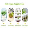 10PCS Hydroponic Planting Basket Soilless Cultivation Net Pots Plant Vegetable Growing Nursery Cup Sponge Fixator Container