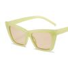 Women Simple Sunglasses UV Protection Retro Sunglasses Fashion Sunglasses Outdoor Travel Sunglasses