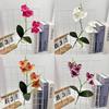Phalaenopsis Flower Artificial Wedding Photography Props Party Gift Decorations