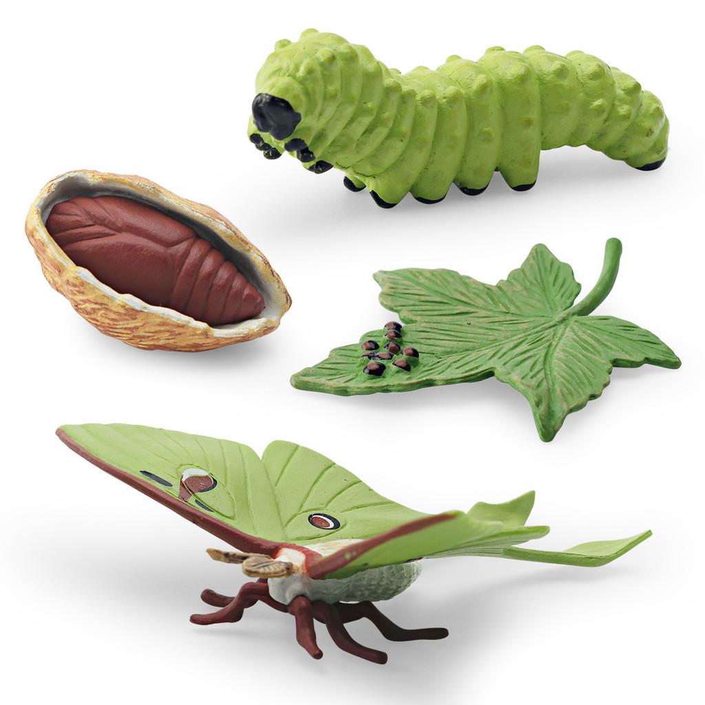 Realistic Pvc 4 Piece Luna Moth Growth Cycle Model Detailed Display Figurine Set
