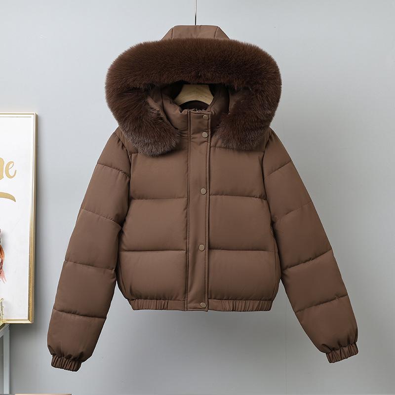 Winter Short Parkas Women's Cotton-padded Clothes Add Velvet Thicken Outerwear Fur Collar Removable Hooded Coats Warm Jackets