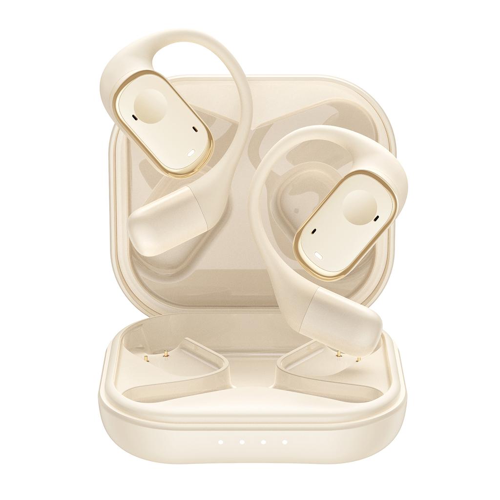 Earbuds Voice Translation Device RealTime 139 Languages Online Offline Wireless BT TwoWay