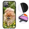 Pomeranian Dog Pet Animal Phone Cover for Samsung Galaxy Note 20 9 10 S8 S10 Lite S9 Plus A54 A53 A21S S10E A17 Coque Case