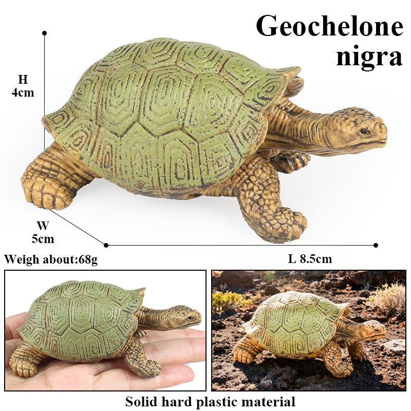 Oenux Reptile Animals Star Turtle Tortoise Geochelone Model Figurines Action Figures PVC Ornament Education Kid Toy Gift
