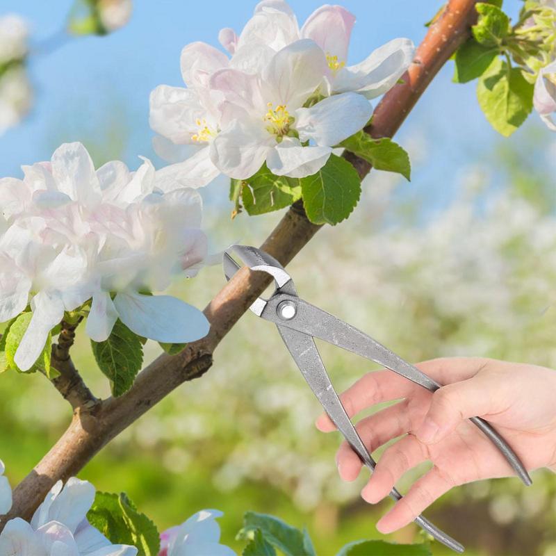 Bonsai Knob Cutter Concave Edge Cutter Root Cutting Pliers Ball Shear Scissors Landscape Modeling Garden Bonsai Tools 210mm