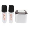 Wireless Karaoke Machine with 2 Microphones Portable BT Karaoke Speaker for Home and Outdoor Party