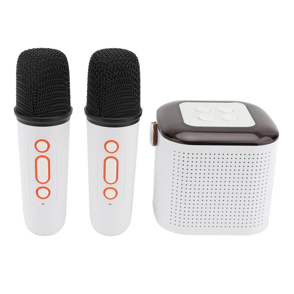 Wireless Karaoke Machine with 2 Microphones Portable BT Karaoke Speaker for Home and Outdoor Party