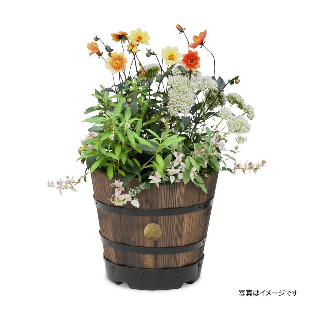 Takasho Wood Barrel Planter, Deep Type S, Approx. W29 x D29 x H25cm, Brown, PPW-02S
