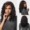 ALAN EATON Medium Length Lace Synthetic Wigs Wavy Red Brown Highlight Wig for Black White Women Natural High Density 18inch