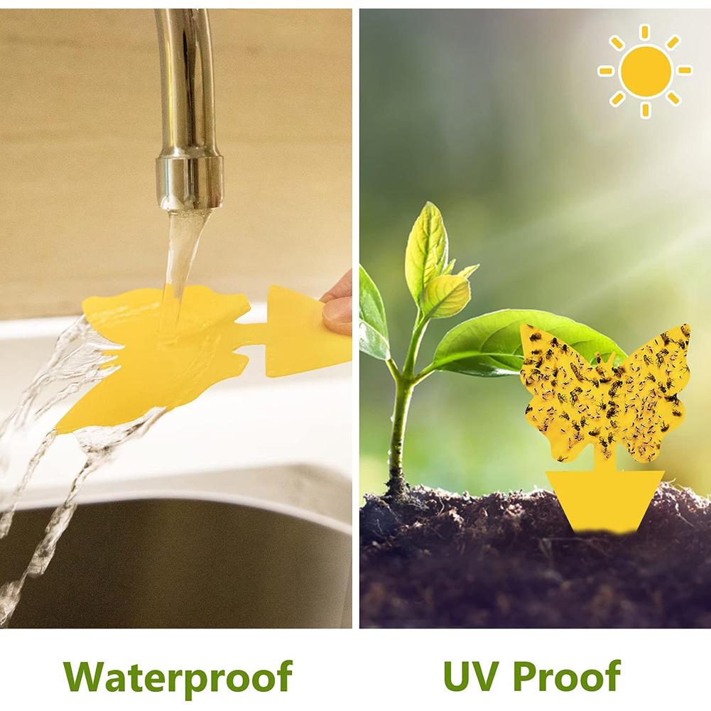 Insect Traps Protect The Plant Double Sided Gnat Traps Non-Toxic and Odorless Sticky Board Traps for Garden Plants Kitchen