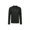Emporio Armani EA7 T-Shirts Men's Crew Neck Moderate 6RPT04-PJFFZ-1100