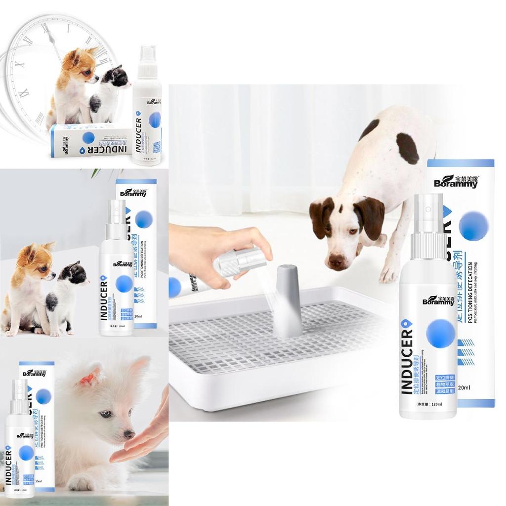 Effektives Stubenreinheitsspray für Hunde zur Standortführung für Urin und Kot