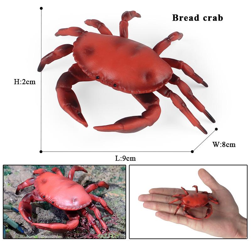 Oenux Simulation Ocean Sea Life Animals Model Lovely Crab Action Figures Toy Cake Toppers Collection Jouet Kids Education Gift