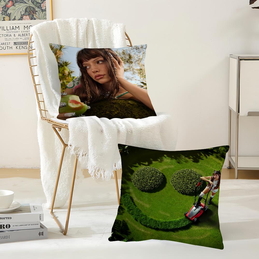 Singer N-nina Chuba Ich Lieb Mich Pillow Case Applicable Space For Guest Rooms Interiors Cars Office House Decoration
