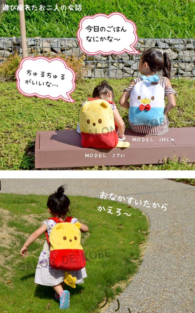 Disney Backpack with Chip Name Tag and Popular and Cute Winnie the Pooh Backpack for Adjustable Straps Kids' Keychain, Adults, Halloween, [Used]