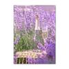 Lienzo Pintura Morado Flores Lila Lavanda Póster Bicicleta Paisaje Rural Imagen Decoración Pared Hogar Dormitorio Fondo