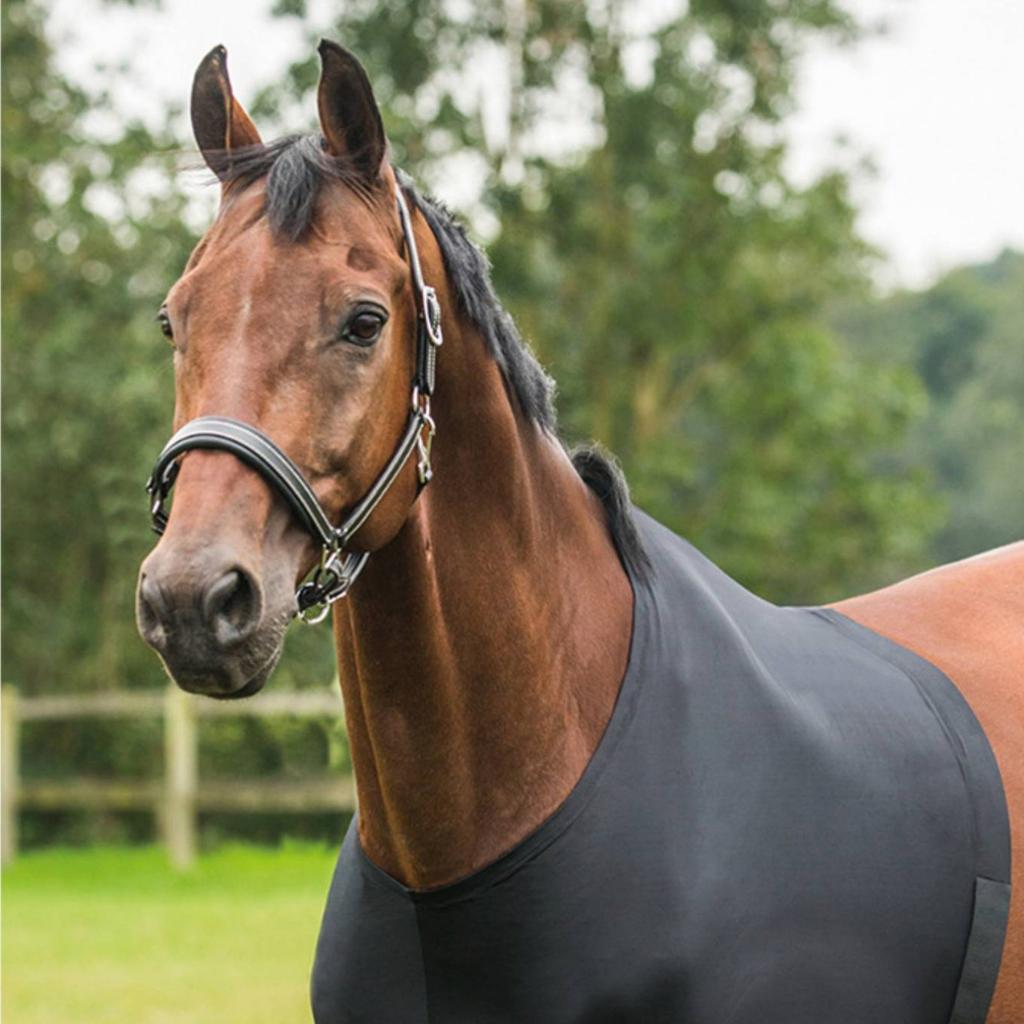 Protège-épaule de cheval Léger Couvre-cou de cheval Creature Gear Respirant Évacuant l'humidité