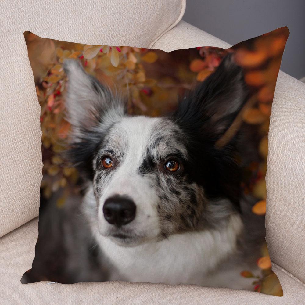 Cute Pet Animal Dog Print Pillowcase Scottish Border Collie Cushion Cover  Sofa Car Decoration