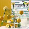 10pcs 16x150mm Test Tube Plastic Burette School Supplies Science Tubes  Candy Storage