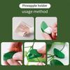 Vine Clips 8 PCS Garden Stake Clips Invisible Self Adhesive Leaf Shape Plant Vine Traction Sticker For Climbing Plant Fixing