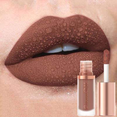 1pc Waterproof Matte Velvet Lip Glaze Moisturizing Long Lasting Non-stick Cup Not Easy To Fade Lip Gloss Lipstick Makeup