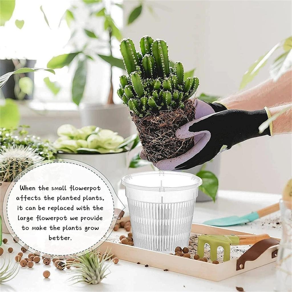 Vaso a Rete Controllo Radici Orchidea Fiore Traspirante Contenitore di Crescita Foro di Drenaggio Vaso per Orchidee con Radici Giardino Vaso da Fiori in Plastica